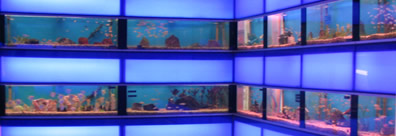 QSS Aquarium